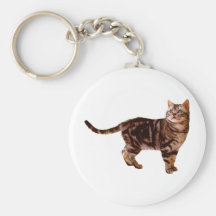 American Shorthair Key Chains