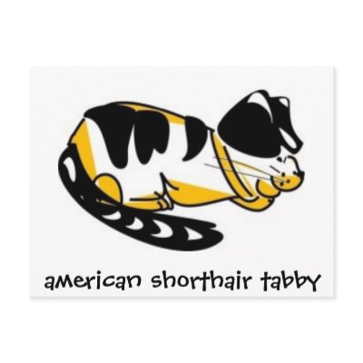 American Shorthair Tabby by ~bluedecker97 by tikitoon