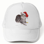 American Shorthair Tabby Cat - Christmas Hats