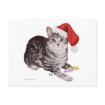 American Shorthair Tabby Cat - Christmas Post Card