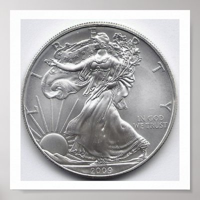 American Silver Eagle Wall Art Posters by blackspanielgallery