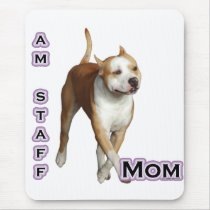 American Staffordshire Mum 4