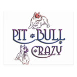 American Staffordshire PIT BULL TERRIER Postcard