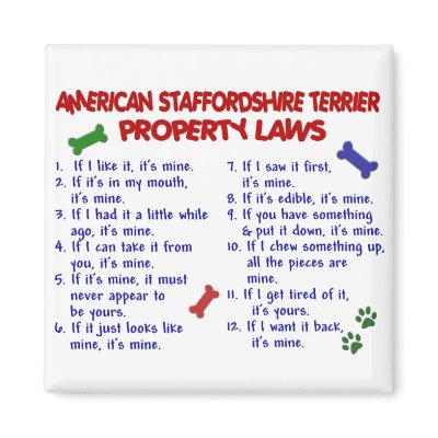 AMERICAN STAFFORDSHIRE Property Laws 2 by poochloverstuff