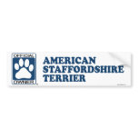 American Staffordshire Terrier Blue