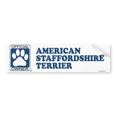 American Staffordshire Terrier Blue by GenuineDogOwner