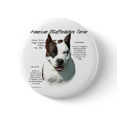 American Staffordshire Terrier History Design by GreyWolfCreation