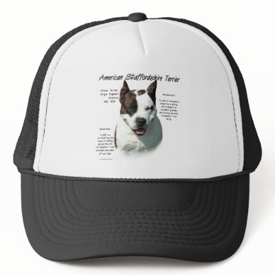 American Staffordshire Terrier History Design by GreyWolfCreation
