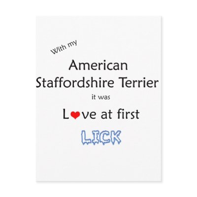 American Staffordshire Terrier Lick Design Post Card by GreyWolfCreation