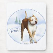 American Staffordshire Terrier Noel