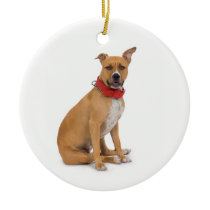 American Staffordshire Terrier Ornament