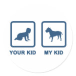 American Staffordshire Terrier