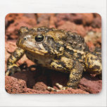 American Toad mousepads