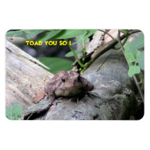 American Toad Premium Flexi Magnet
