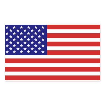 American USA Flag Sticker by windyone