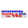 American Voter Bumper Sticker