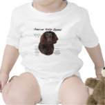 American Water Spaniel History Design