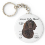 American Water Spaniel History Design