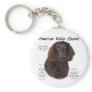 American Water Spaniel History Design