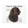 American Water Spaniel History Design Postcard