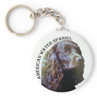 American Water Spaniel keychain by rescueadog