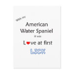 American Water Spaniel Lick Design postcards