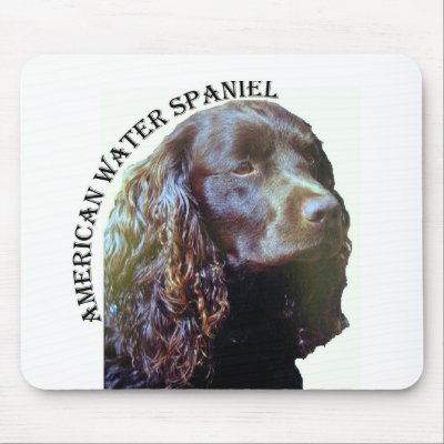 American Water Spaniel mousepad by rescueadog