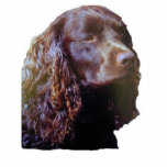 American Water Spaniel ornament photo sculptures