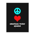 American Water Spaniel Postcards