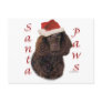 American Water Spaniel Santa Paws Postcards