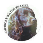 American Water Spaniel stickers