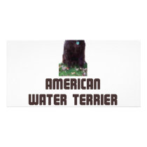 American Water Terrier Custom Photo Card