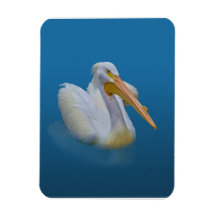 American White Pelican Flexible Magnet