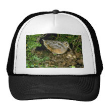 American Woodcock with eggs Trucker Hats