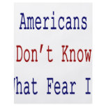 Americans Don't Know What Fear Is Flyer Design