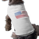 Americans USA Flag