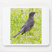 Americaqn Robin Mousepads