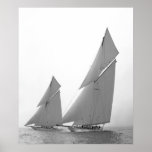 America's Cup Defenders Poster