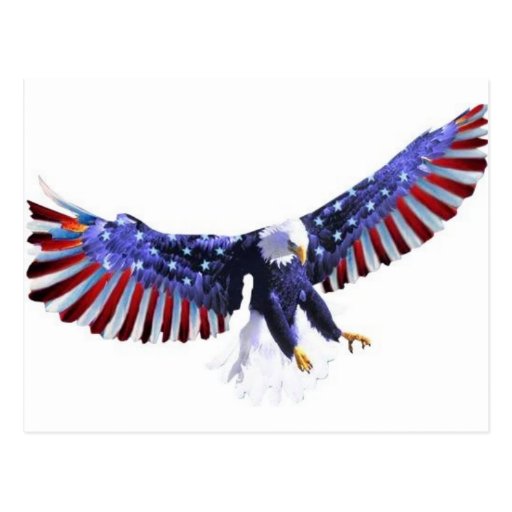 America's eagle postcards