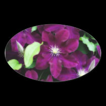 Amethyst Clematis stickers