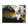 Amigurumi Chihuahua Postcards