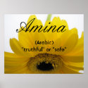 Amina posters
