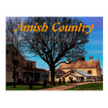Amish Barn Postcard