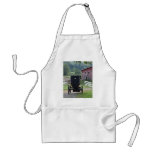 Amish Buggie - Holmes Co OH Apron