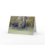 Amish Buggies Cards
