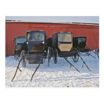 Amish Buggies In Waiting-Postcard
