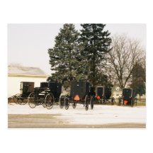 Amish Buggies Postcard