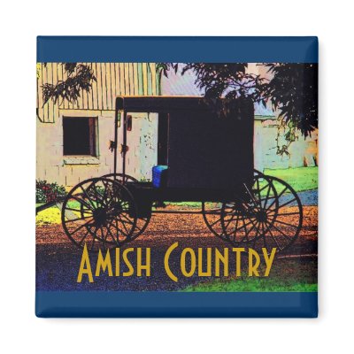 Amish Buggy Magnet by RickDouglas