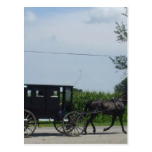 Amish buggy ride post cards