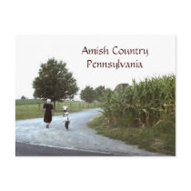 Amish Country Pennsylvania PA Postcard